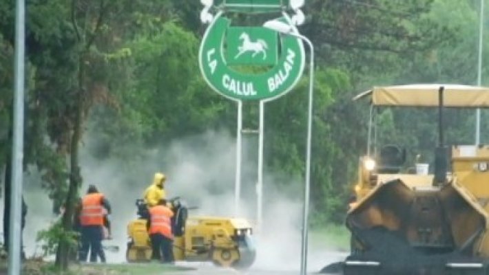 Vezi video: De la Mangalia, promisiuni şi realizări...
